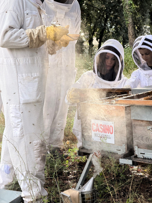 Ateliers pédagogiques Bee Riviera - Palais de la Méditerranée